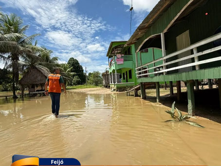 Feijó decreta situação de emergência após quarta enchente do ano isolar comunidades e destruir lavouras