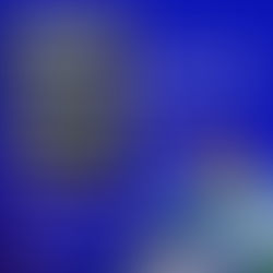 Porto Walter, Defesa Civil e Governo do Estado planejam ações após fortes chuvas no Acre 