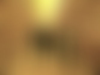 Produtores e profissionais do Agronegócio recebem visita da caravana da produção na Vila Caquetá