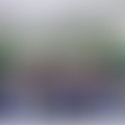 Prefeito Carlinhos do Pelado participa da Sessão Solene de homenagens da Câmara Municipal 