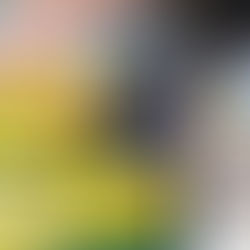 Prefeitura de Bujari garante pagamento antecipado do salário dos servidores sem atraso