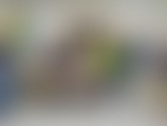 Prefeito garante ações para beneficiar os empresários e empreendedores thaumaturguenses