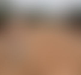 Prefeito garante blocos sextavados na Rua Francisco Feitosa Mourão e destaca que é união perfeita entre estética e resistência para as ruas do município de Bujari