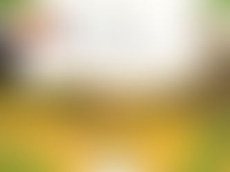 05 de setembro: Dia da Amazônia