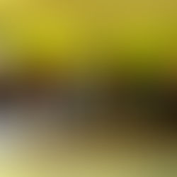 Secretaria de Cidadania e Inclusão Social realiza ação na Aldeia Paroá em Feijó