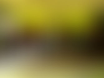 Secretaria de Cidadania e Inclusão Social realiza ação na Aldeia Paroá em Feijó