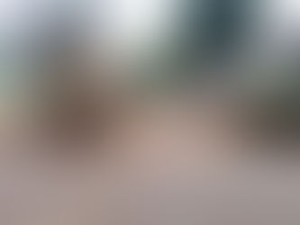 Recuperação da rua Benjamim Constant