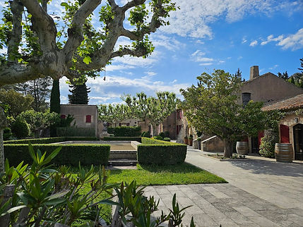 St Rémy de Provence-Domaine La Vallongue.jpg