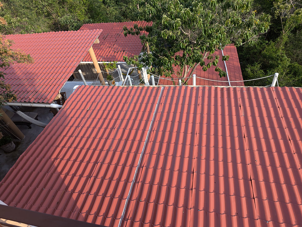 Steel roofs covering building to collect rain water