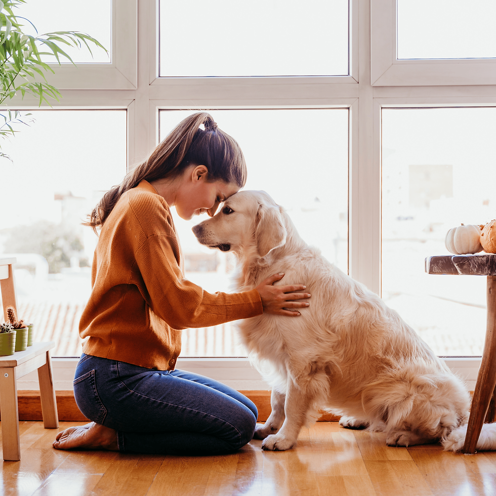 Woman in orange sweater lovingly leans forehead against golden retriever in bright room with large window, creating a warm, serene moment.