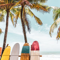 Hopeskitchen.net Surfboard