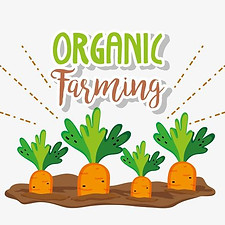vector-organic-farming-cartoons.jpg