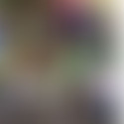 ¡Docentes de la Modalidad Agropecuaria se Actualizan!