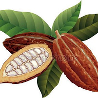 cacao.jpg