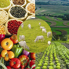 PAP especialidad.jpg