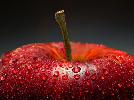 Farm to Feed: Gen Z’s Digital Plate