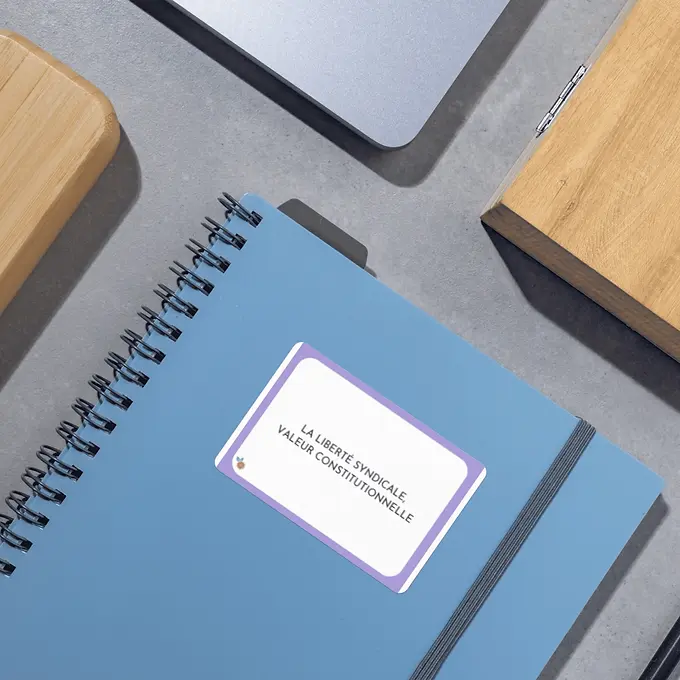 Miniature : flashcards relations collective du travail pdf