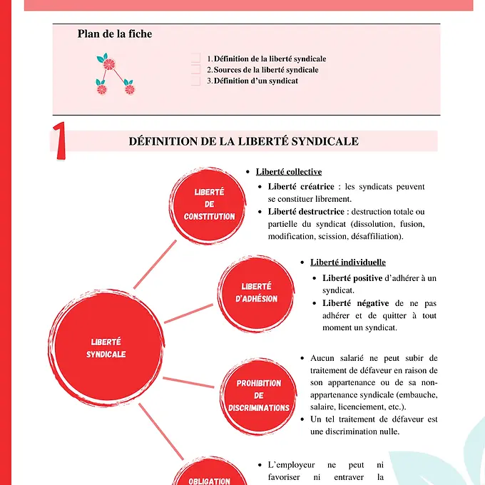 Miniature : cours droit relations collectives du travail