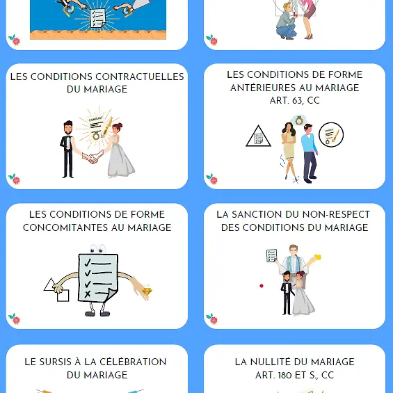 Miniature : extrait flashcards droit l1 pdf