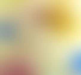 チラシのご紹介