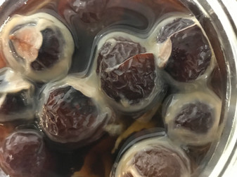 パラダイス酵母でソープナッツ酵素を