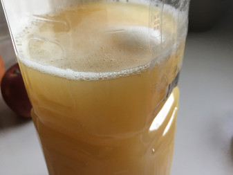 パラダイス酵母