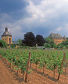 Germany-Weisbaden1-Schloss Volrads-Rhein