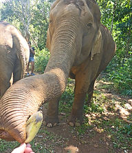 Photo #1.jpg