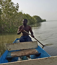 Bitang Bolong - Paddling on the Gambia R