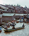 Borneo2.jpg