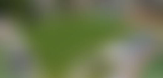 Flint markerer bygging av ny kunstgressbane