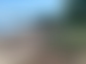 Stranddugnad på Lille Bogen