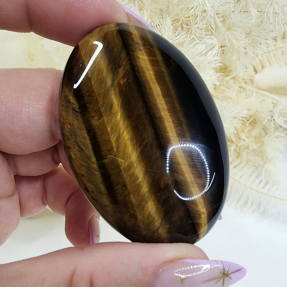 Thumbnail: Tigers Eye • Palm Stone