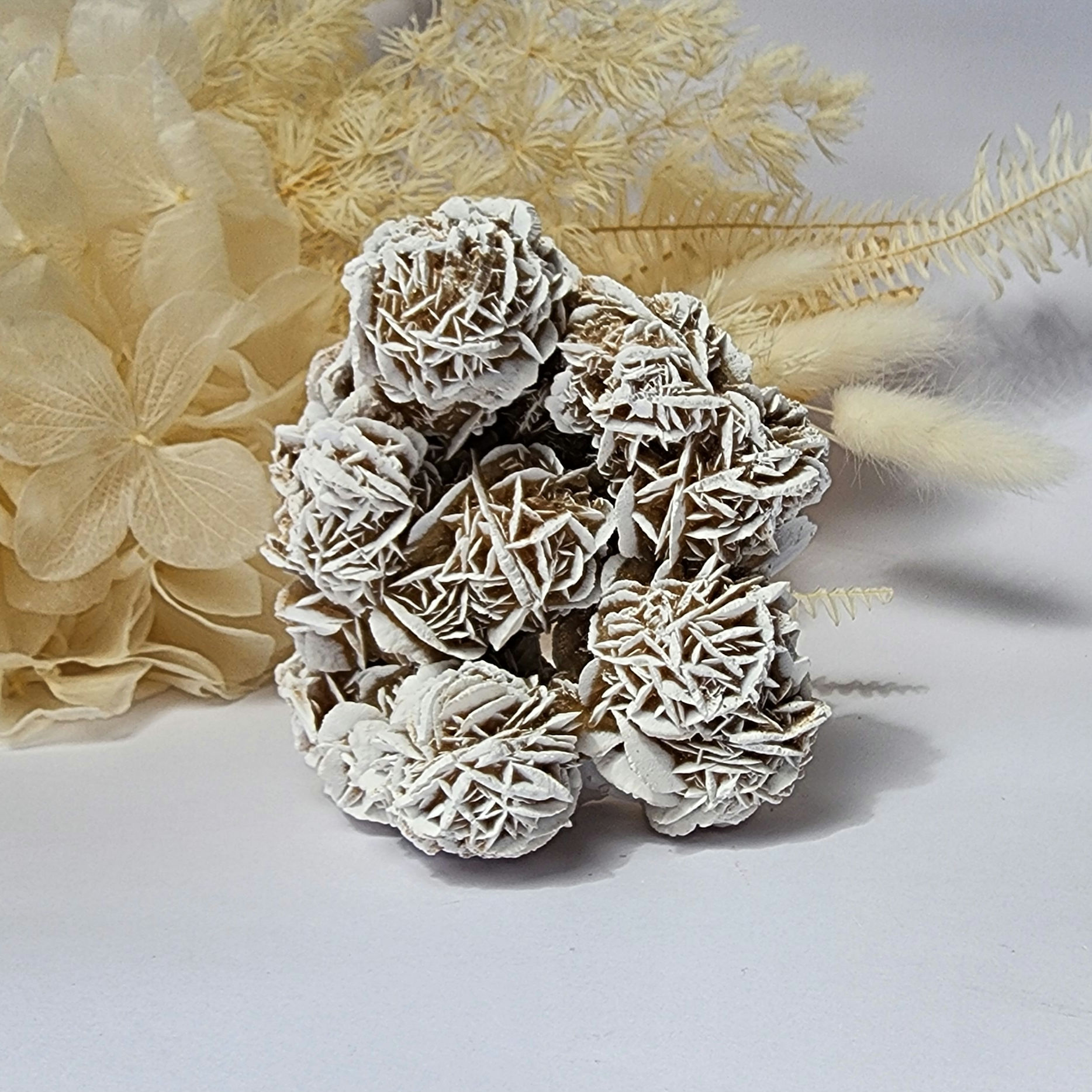 Desert Rose Selenite  • Cluster #5
