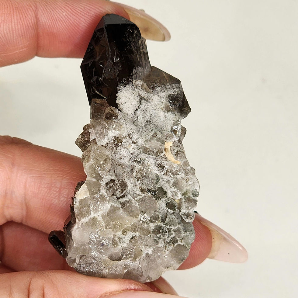 Thumbnail: Smoky Quartz • Cluster #5