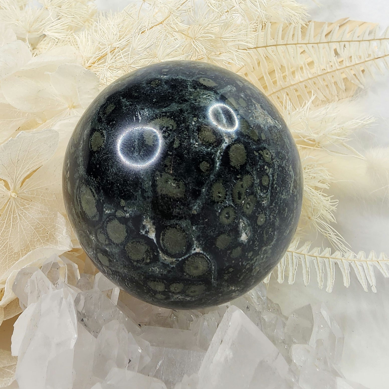 Kambaba Jasper • Sphere #1