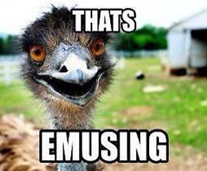 bad puns