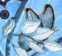 SNG digital nature art designs