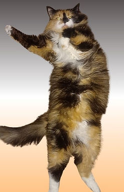 Brown Photo Collage Coffee Facebook Post