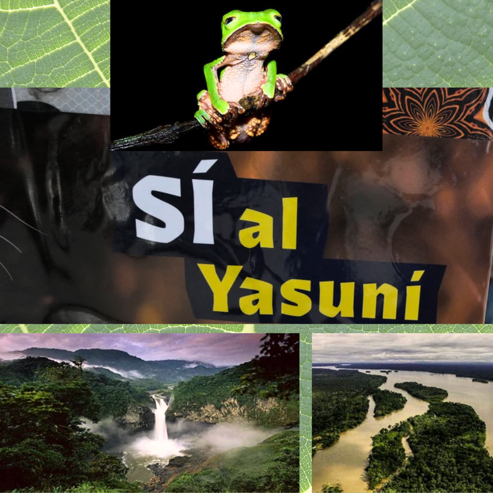 yasuni