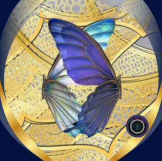 merging gold and blue butterfly design