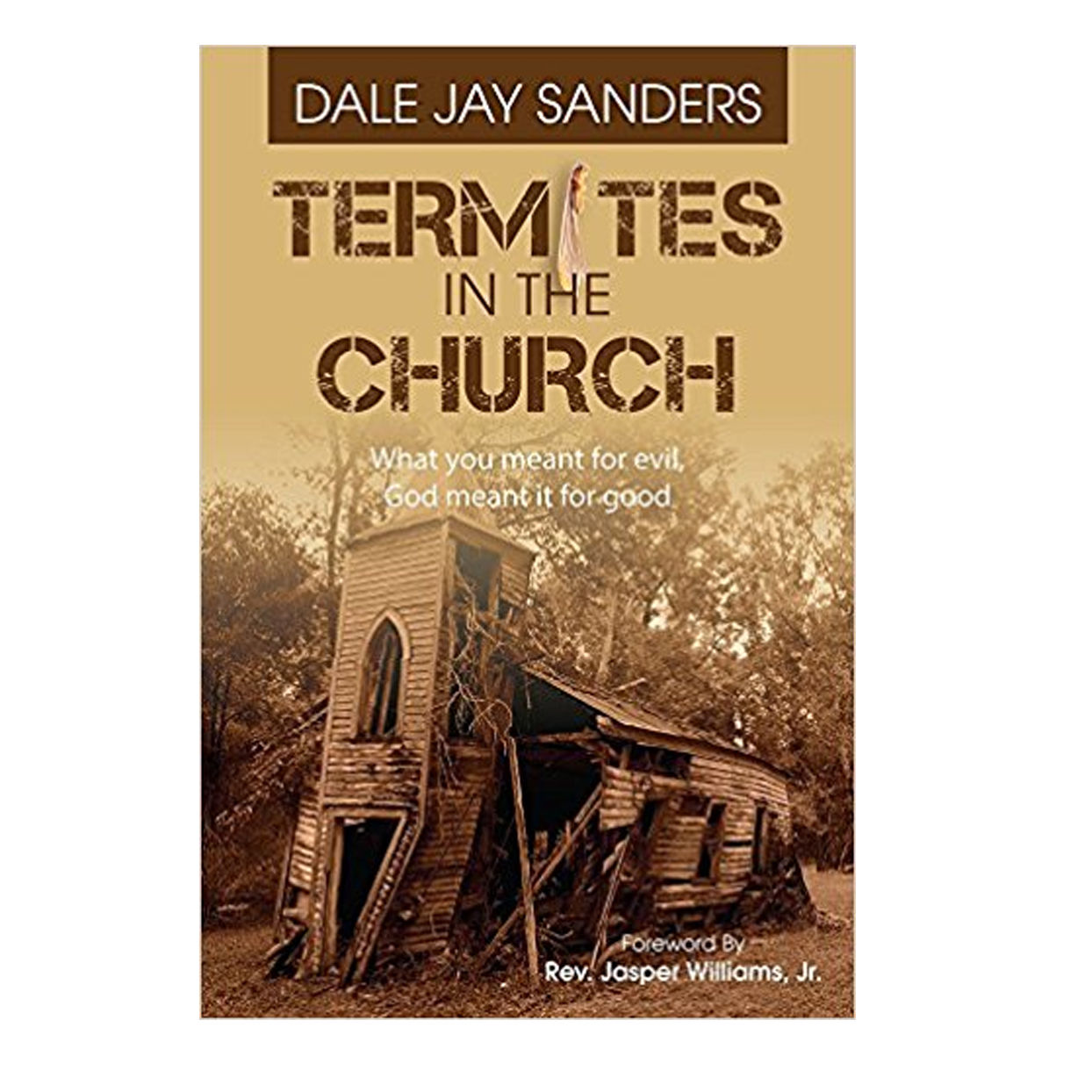 Termites In The Church Book