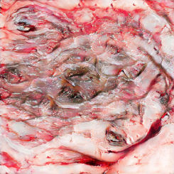 Untitled Train Project_50_0036.jpeg