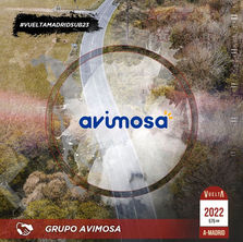 Grupo Avimosa