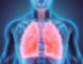 lung.jpeg