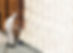 spray foam insulation services in washington dc