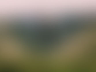 How Chiropractic Care Can Help Scoliosis