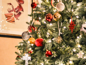 Christmas Circus Spectacular comes to Groombridge Place