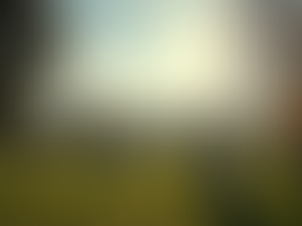 Exploring Life After Death with Pittsburgh Probate Attorney Wendy Witt