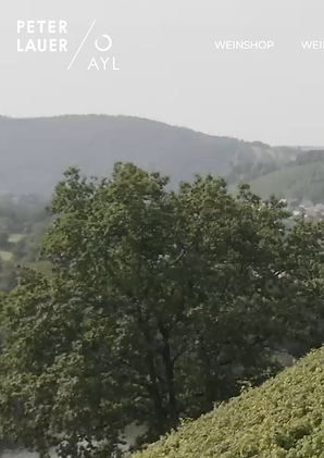 peter lauer bild.png